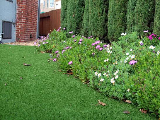 Artificial Grass Photos: Lawn Services Hollister, Oklahoma Lawns, Front Yard Landscaping Ideas