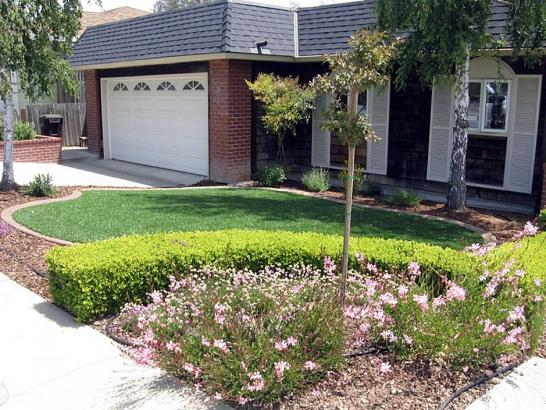 Artificial Grass Photos: Lawn Services Tagg Flats, Oklahoma Design Ideas, Front Yard Landscaping