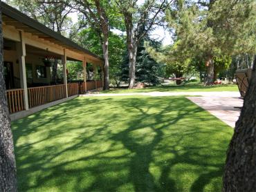 Artificial Grass Photos: Lawn Services Tipton, Oklahoma Rooftop, Backyard Makeover