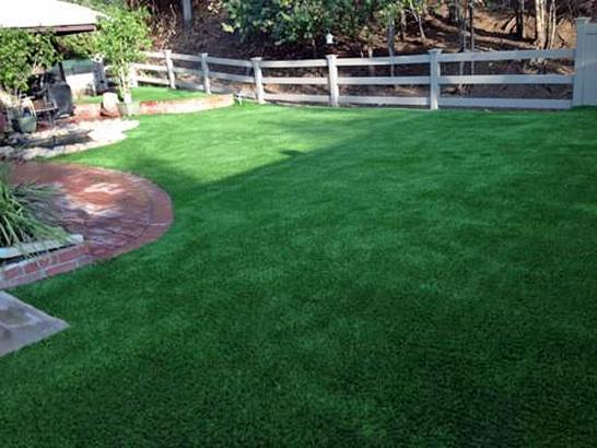 Artificial Grass Photos: Outdoor Carpet Iron Post, Oklahoma Cat Playground, Backyard Landscaping Ideas