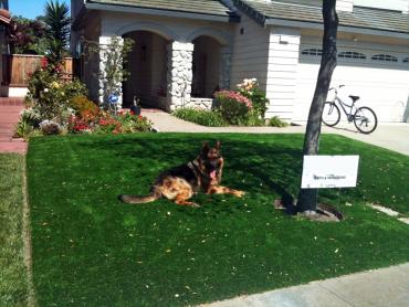 Artificial Grass Photos: Outdoor Carpet Sallisaw, Oklahoma Dog Run, Front Yard Design