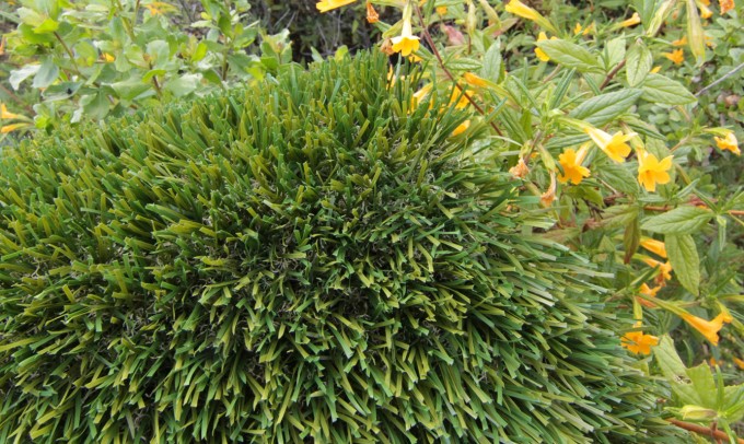 Double S-72 syntheticgrass Artificial Grass Oregon