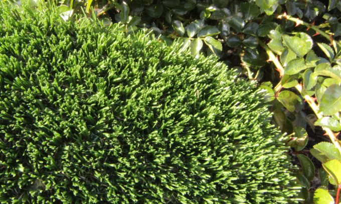 Hollow Blade-73 syntheticgrass Artificial Grass Oregon