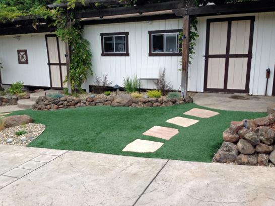 Artificial Grass Photos: Plastic Grass Lyons Switch, Oklahoma Landscape Photos, Small Front Yard Landscaping