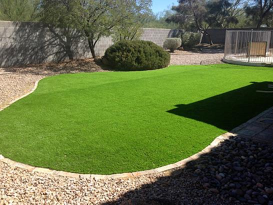 Artificial Grass Photos: Synthetic Grass Cost Blue, Oklahoma Roof Top, Backyard Garden Ideas