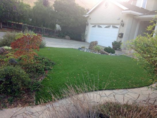 Artificial Grass Photos: Synthetic Grass Cost Hastings, Oklahoma Lawn And Garden, Front Yard Design