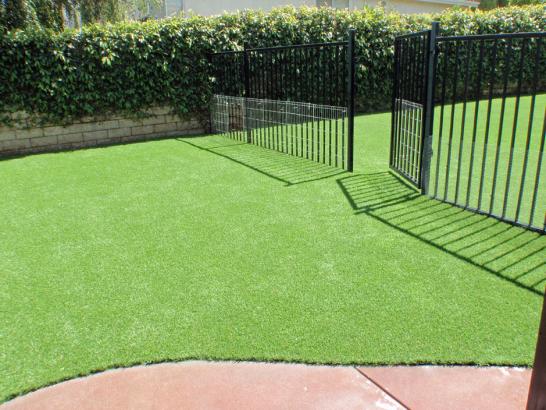 Artificial Grass Photos: Synthetic Grass Cost Oak Grove, Oklahoma Grass For Dogs, Landscaping Ideas For Front Yard