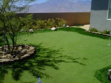 Artificial Grass Photos: Synthetic Grass Cost Tenkiller, Oklahoma Golf Green, Backyard Designs