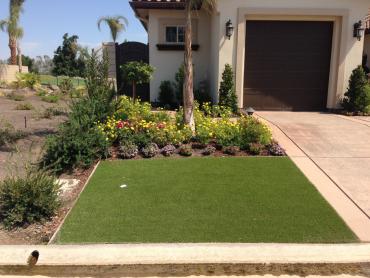 Artificial Grass Photos: Synthetic Grass Cost Vici, Oklahoma Gardeners, Front Yard