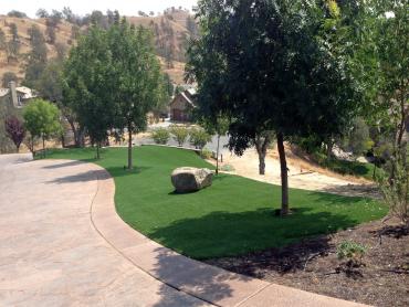 Artificial Grass Photos: Synthetic Grass Cost Wilson, Oklahoma Landscaping, Landscaping Ideas For Front Yard