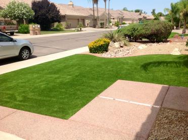 Artificial Grass Photos: Synthetic Lawn Disney, Oklahoma Landscape Design, Landscaping Ideas For Front Yard