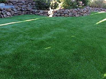 Artificial Grass Photos: Synthetic Turf Carlisle, Oklahoma Dog Parks, Beautiful Backyards
