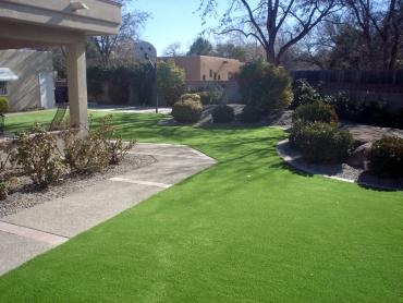 Artificial Grass Photos: Synthetic Turf Catoosa, Oklahoma Lawn And Garden, Front Yard Landscaping