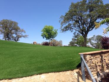 Artificial Grass Photos: Synthetic Turf Copeland, Oklahoma Rooftop, Front Yard Ideas