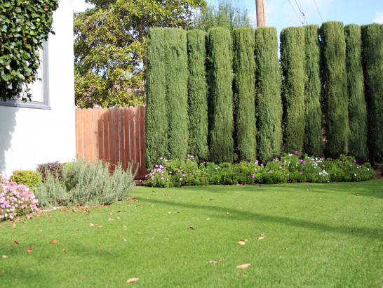 Artificial Grass Photos: Synthetic Turf Grand Lake Towne, Oklahoma Design Ideas, Front Yard Landscaping Ideas