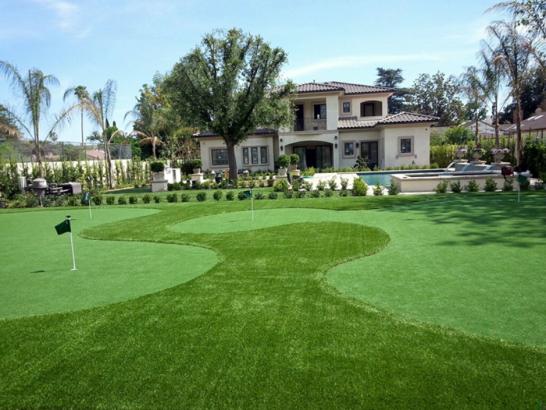 Artificial Grass Photos: Synthetic Turf Hoffman, Oklahoma Indoor Putting Greens, Front Yard