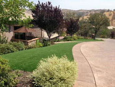 Artificial Grass Photos: Synthetic Turf Locust Grove, Oklahoma Roof Top, Front Yard Ideas