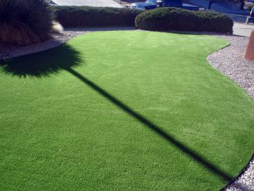 Artificial Grass Photos: Synthetic Turf Supplier Colbert, Oklahoma Landscaping Business, Front Yard Landscape Ideas