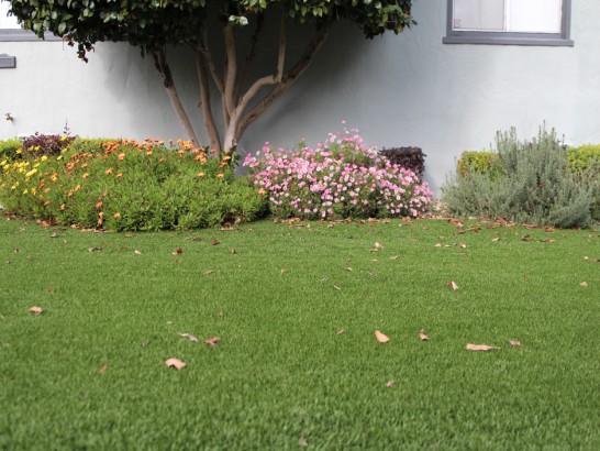 Artificial Grass Photos: Synthetic Turf Supplier Elk City, Oklahoma Roof Top, Small Front Yard Landscaping