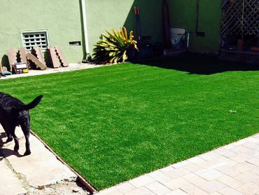 Artificial Grass Photos: Turf Grass Lone Wolf, Oklahoma Hotel For Dogs, Backyard Makeover