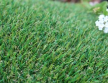 Petgrass-55 Synthetic Grass