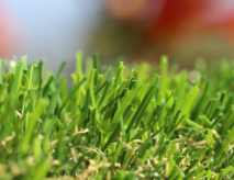 Artificial Grass Lawn